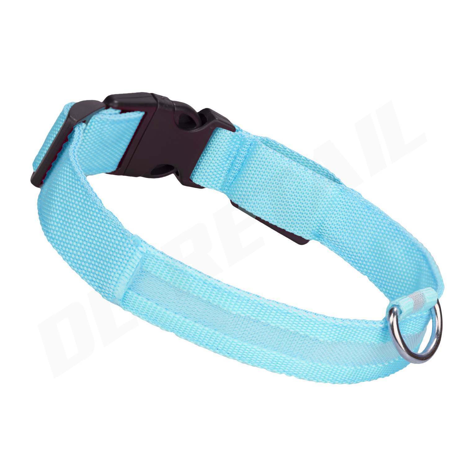 Light up dog collar on sale b&m