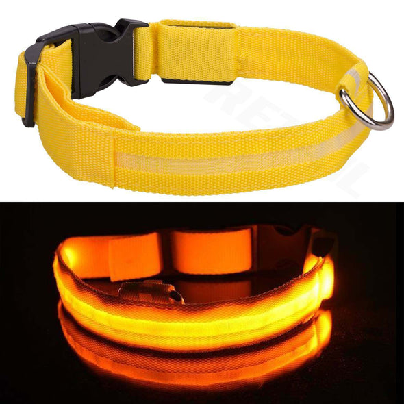 Light Up Dog Collar LED High Visibility - USB Rechargeable or Battery - vogizmo